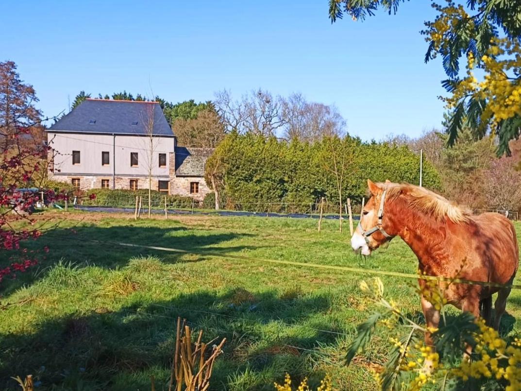 Chambre D'Hote En Gite - Moulin De La Houssaie - Broceliande Guer Exterior foto